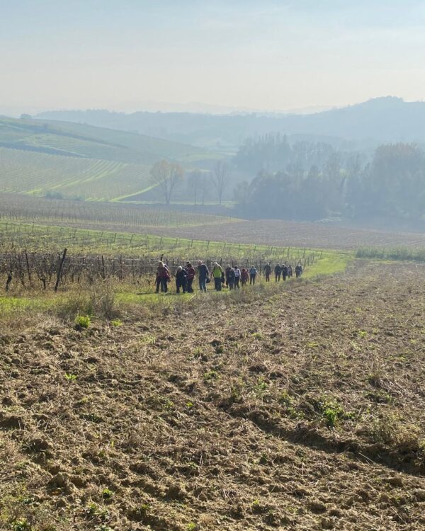 Trekking e tartufo